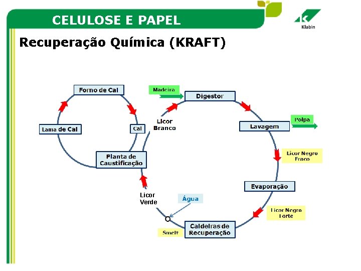 CELULOSE E PAPEL Recuperação Química (KRAFT) Licor Verde 
