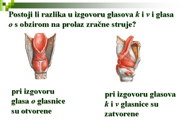 Postoji li razlika u izgovoru glasova k i v i glasa o s obzirom