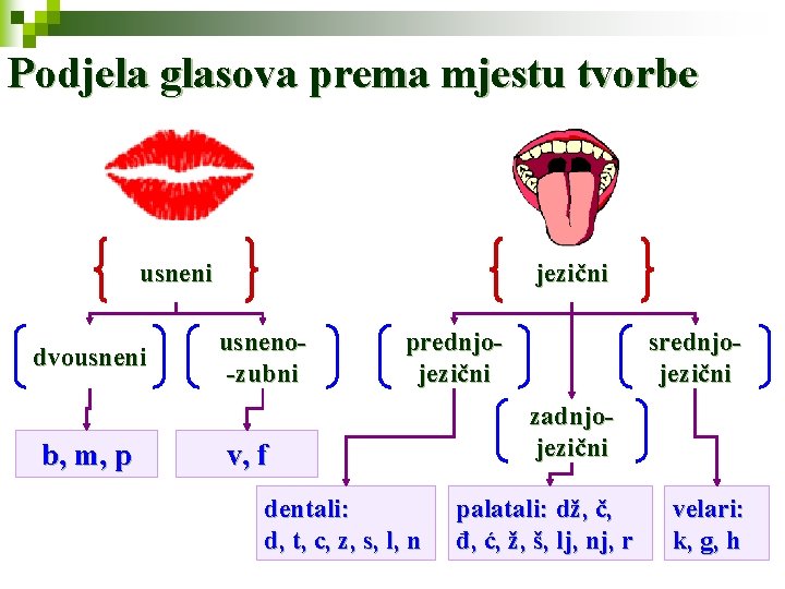 Podjela glasova prema mjestu tvorbe usneni dvousneni b, m, p jezični usneno-zubni prednjojezični v,