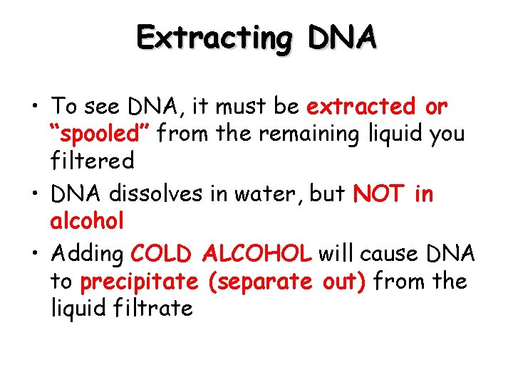 Extracting DNA • To see DNA, it must be extracted or “spooled” from the