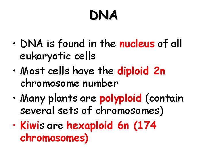DNA • DNA is found in the nucleus of all eukaryotic cells • Most