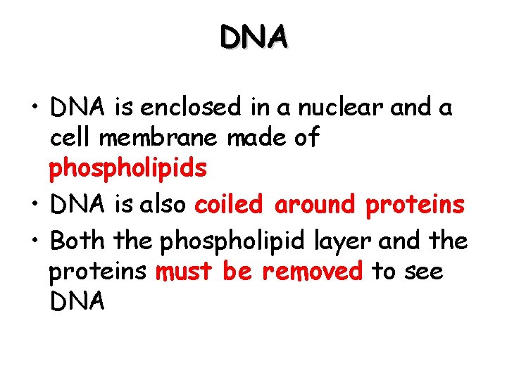 DNA • DNA is enclosed in a nuclear and a cell membrane made of