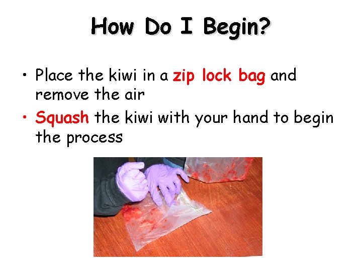 How Do I Begin? • Place the kiwi in a zip lock bag and