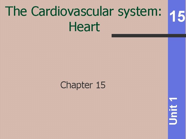 The Cardiovascular system Heart 15 Unit 1 Chapter