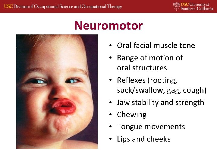 Neuromotor • Oral facial muscle tone • Range of motion of oral structures •