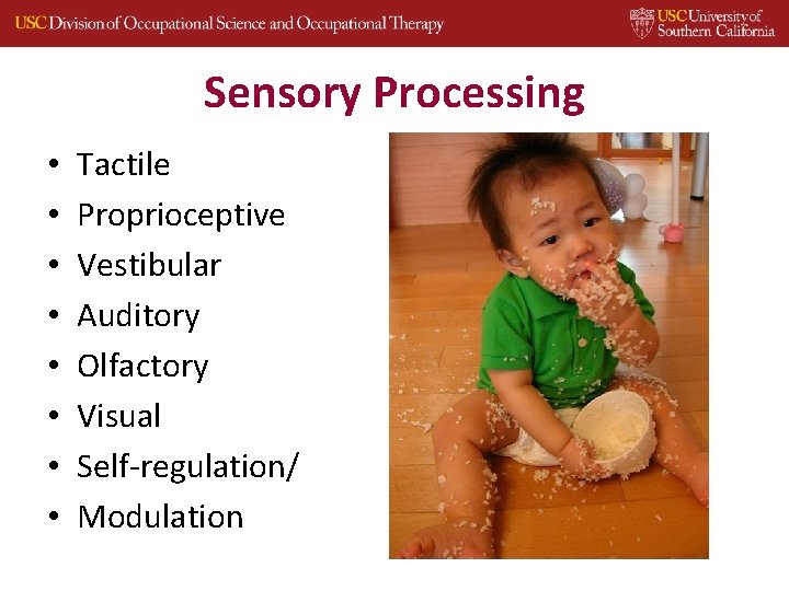 Sensory Processing • • Tactile Proprioceptive Vestibular Auditory Olfactory Visual Self‐regulation/ Modulation 