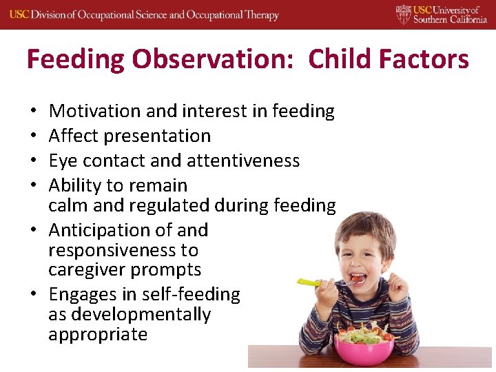 Feeding Observation: Child Factors Motivation and interest in feeding Affect presentation Eye contact and