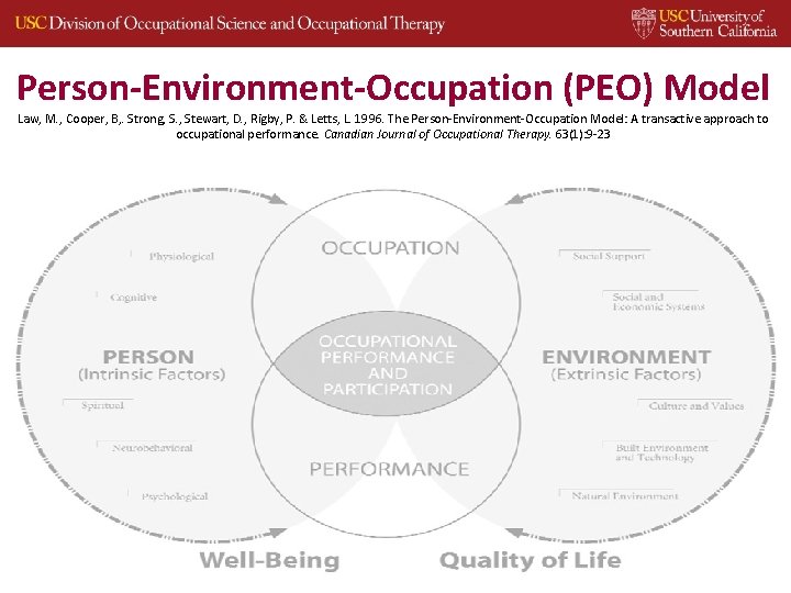 Person-Environment-Occupation (PEO) Model Law, M. , Cooper, B, . Strong, S. , Stewart, D.