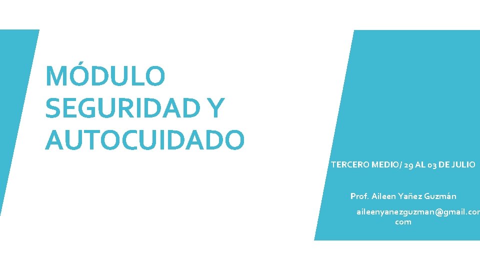 MÓDULO SEGURIDAD Y AUTOCUIDADO TERCERO MEDIO/ 29 AL 03 DE JULIO Prof. Aileen Yañez