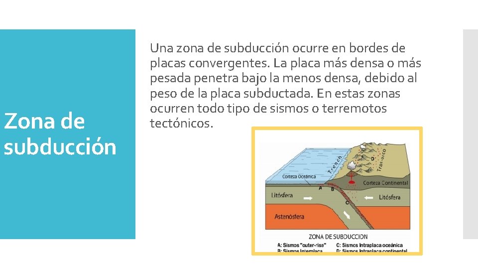 Zona de subducción Una zona de subducción ocurre en bordes de placas convergentes. La