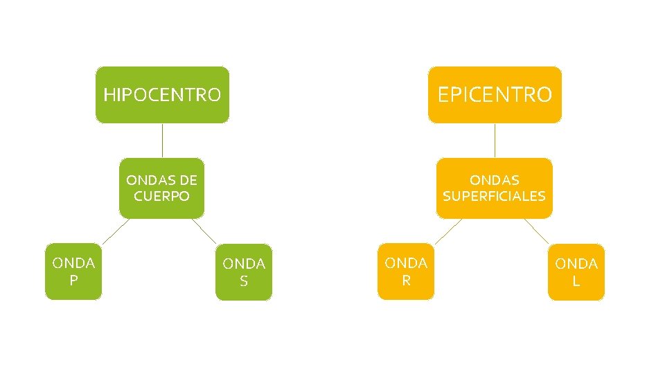 ONDA P HIPOCENTRO EPICENTRO ONDAS DE CUERPO ONDAS SUPERFICIALES ONDA R ONDA L 