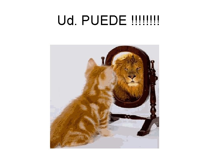 Ud. PUEDE !!!! 