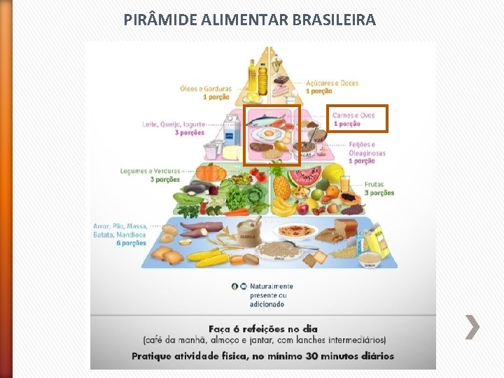 PIR MIDE ALIMENTAR BRASILEIRA 