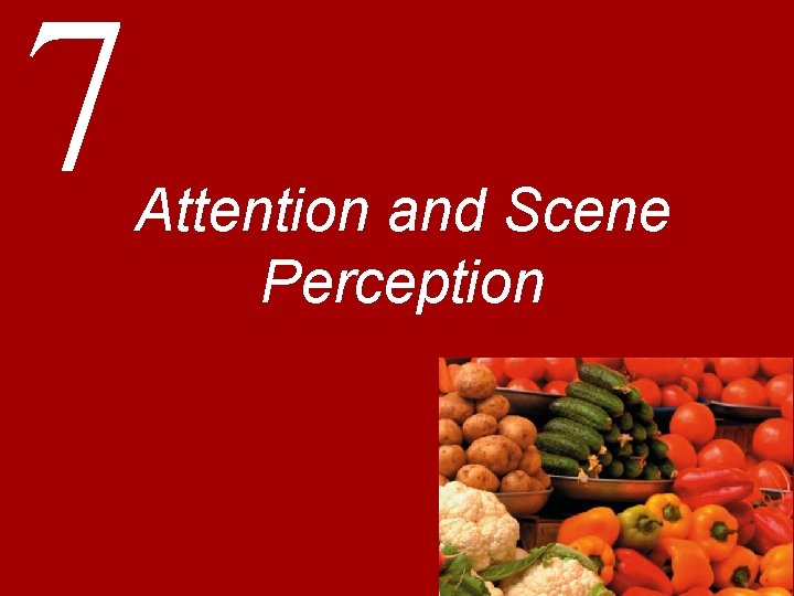 7 Attention and Scene Perception 