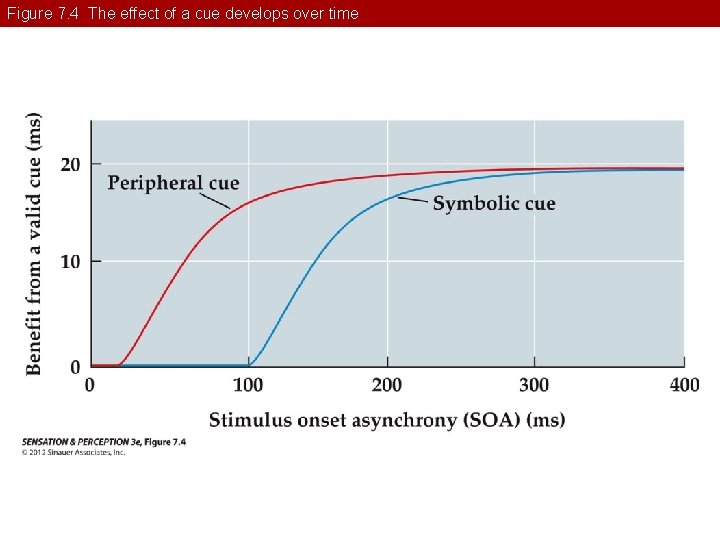 Figure 7. 4 The effect of a cue develops over time 