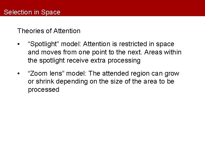 Selection in Space Theories of Attention • “Spotlight” model: Attention is restricted in space