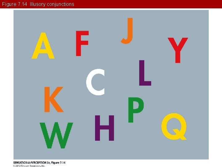 Figure 7. 14 Illusory conjunctions 