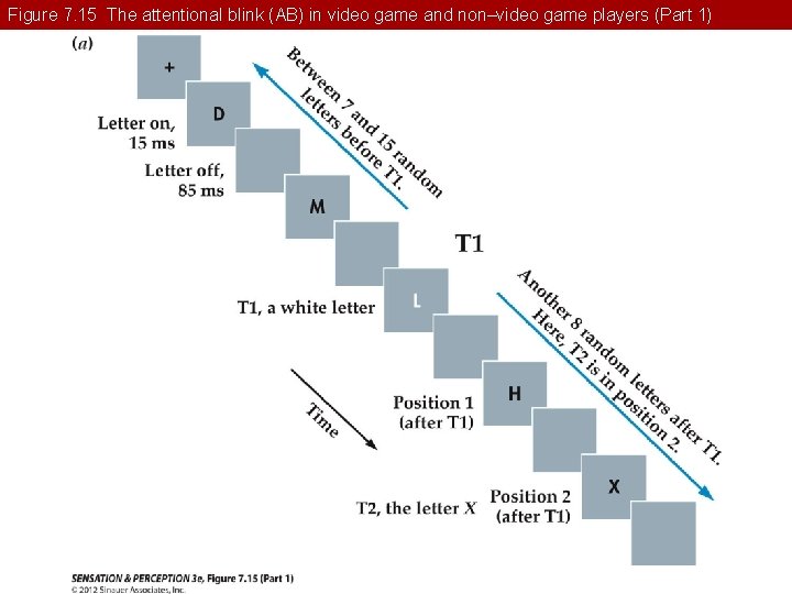 Figure 7. 15 The attentional blink (AB) in video game and non–video game players