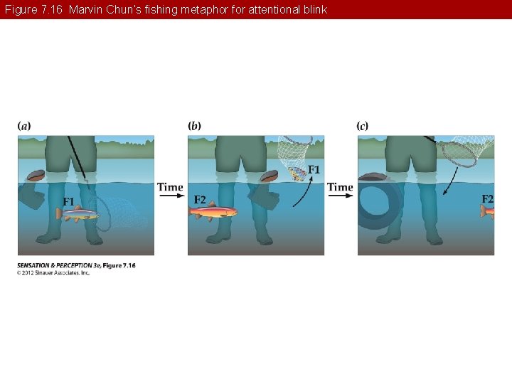 Figure 7. 16 Marvin Chun’s fishing metaphor for attentional blink 