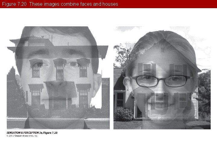 Figure 7. 20 These images combine faces and houses 
