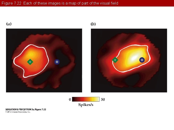 Figure 7. 22 Each of these images is a map of part of the