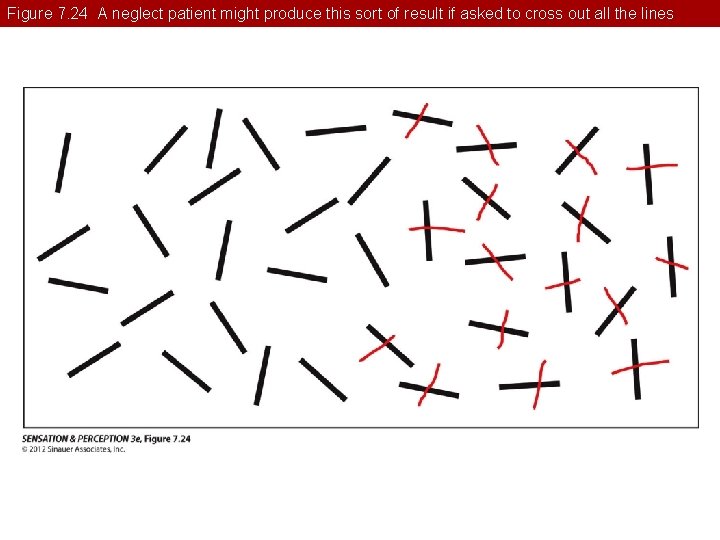 Figure 7. 24 A neglect patient might produce this sort of result if asked