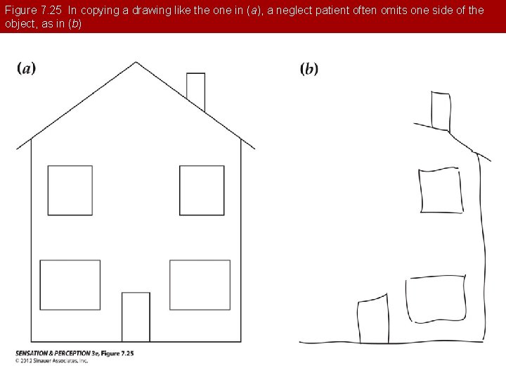 Figure 7. 25 In copying a drawing like the one in (a), a neglect