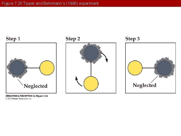 Figure 7. 26 Tipper and Behrmann’s (1996) experiment 
