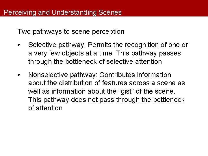 Perceiving and Understanding Scenes Two pathways to scene perception • Selective pathway: Permits the