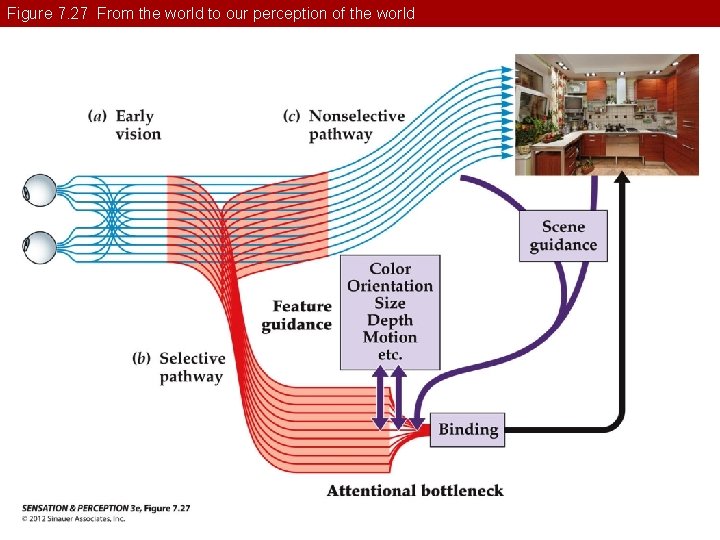 Figure 7. 27 From the world to our perception of the world 