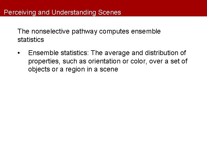 Perceiving and Understanding Scenes The nonselective pathway computes ensemble statistics • Ensemble statistics: The