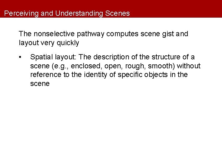 Perceiving and Understanding Scenes The nonselective pathway computes scene gist and layout very quickly