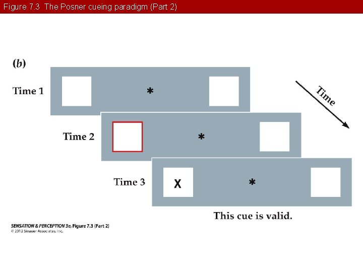 Figure 7. 3 The Posner cueing paradigm (Part 2) 