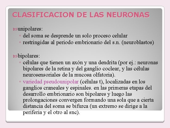 CLASIFICACION DE LAS NEURONAS unipolares: ◦ del soma se desprende un solo proceso celular