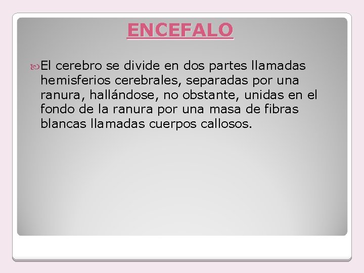 ENCEFALO El cerebro se divide en dos partes llamadas hemisferios cerebrales, separadas por una