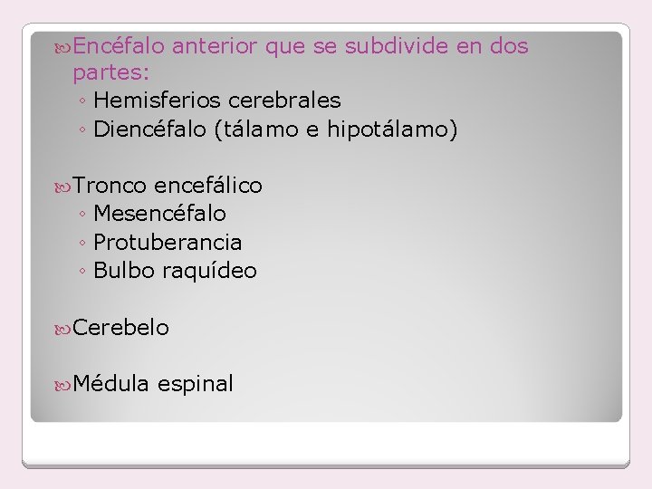  Encéfalo anterior que se subdivide en dos partes: ◦ Hemisferios cerebrales ◦ Diencéfalo