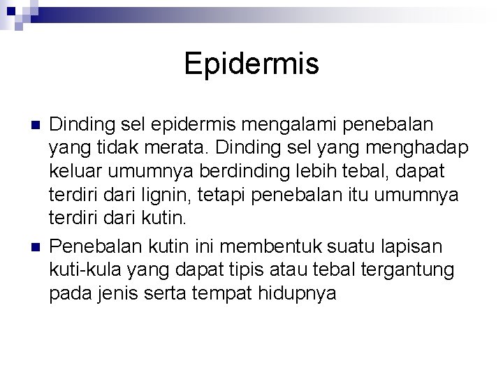 Epidermis n n Dinding sel epidermis mengalami penebalan yang tidak merata. Dinding sel yang