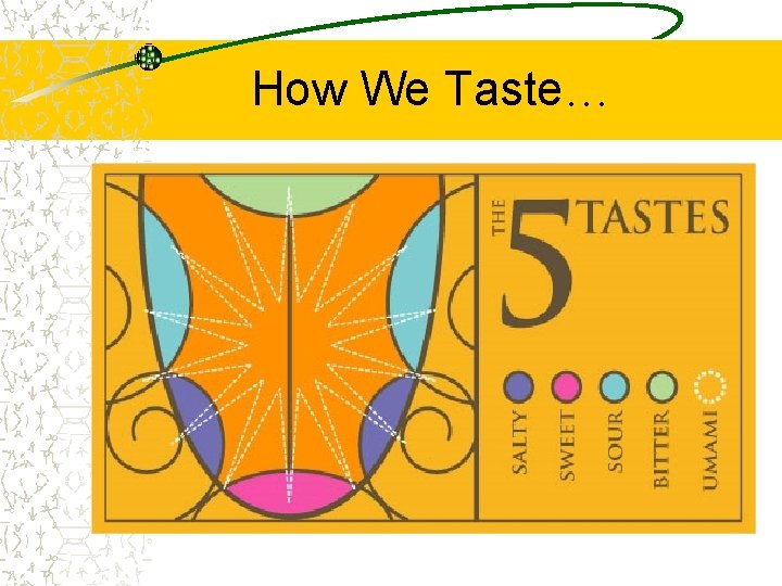 How We Taste… 