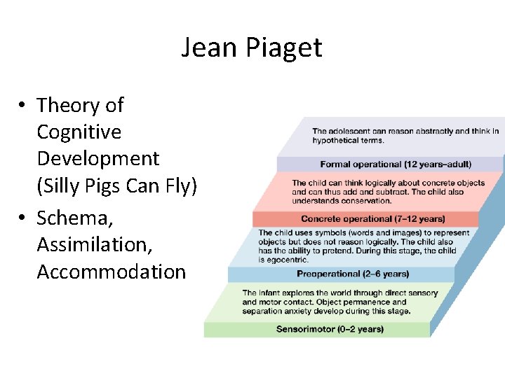 Jean Piaget • Theory of Cognitive Development (Silly Pigs Can Fly) • Schema, Assimilation,