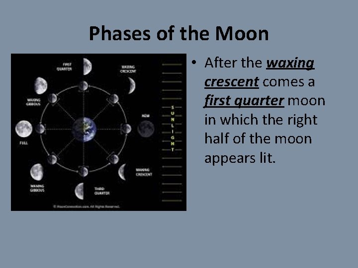 Phases of the Moon • After the waxing crescent comes a first quarter moon