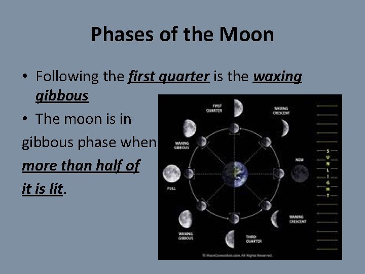 Phases of the Moon • Following the first quarter is the waxing gibbous •