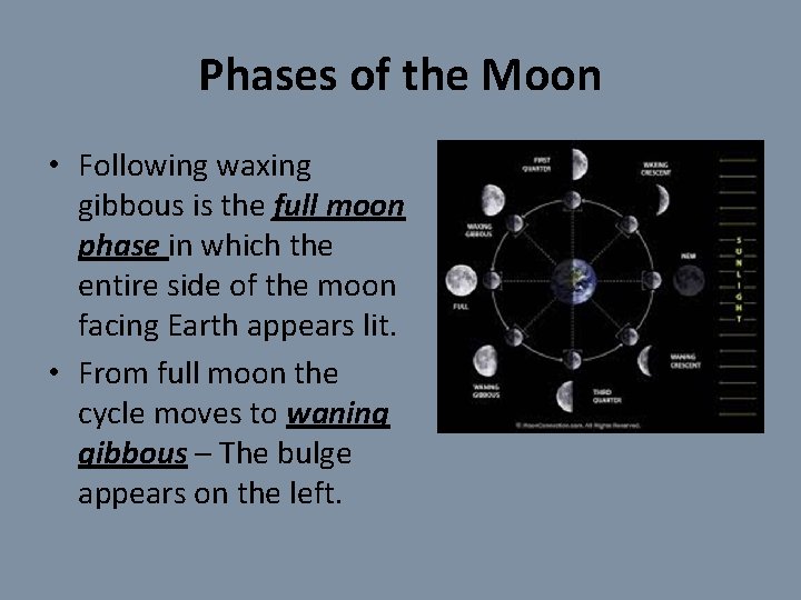 Phases of the Moon • Following waxing gibbous is the full moon phase in