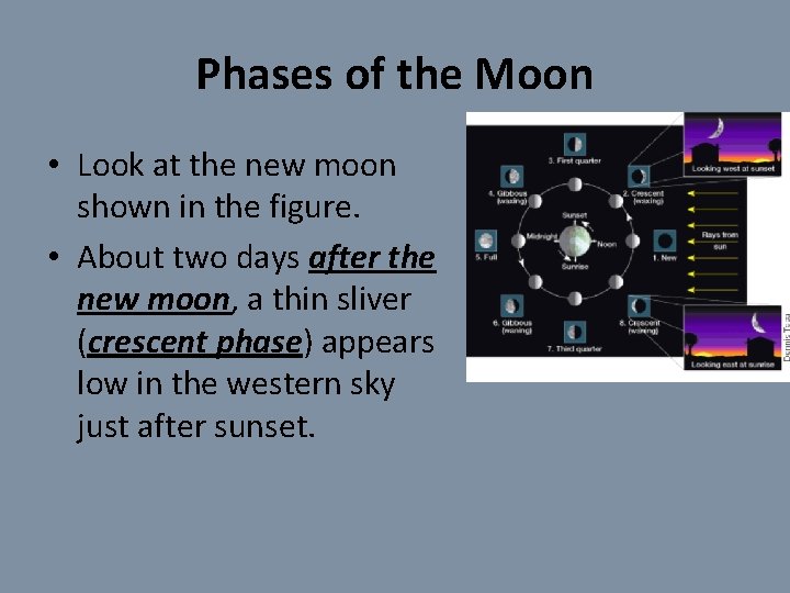 Phases of the Moon • Look at the new moon shown in the figure.