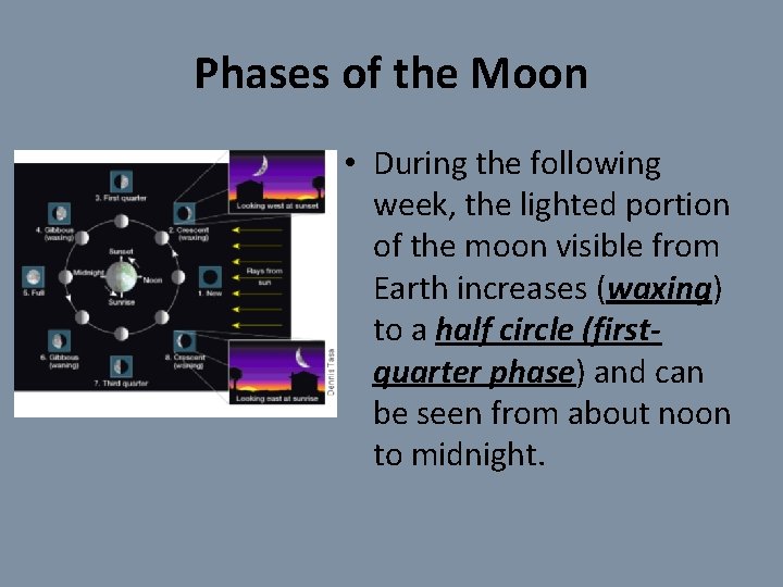 Phases of the Moon • During the following week, the lighted portion of the