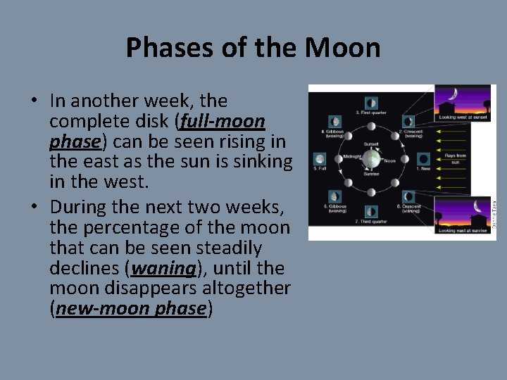 Phases of the Moon • In another week, the complete disk (full-moon phase) can