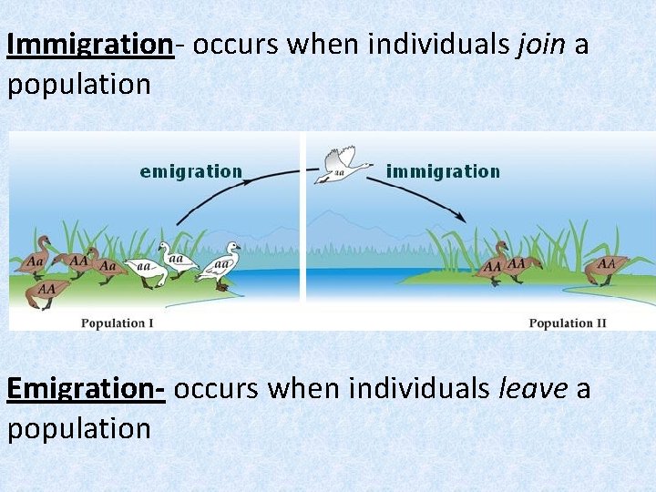 Immigration- occurs when individuals join a population Emigration- occurs when individuals leave a population