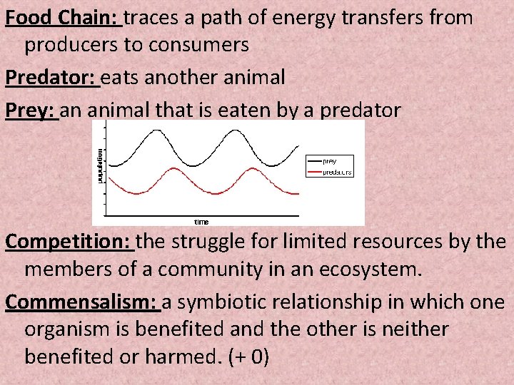 Food Chain: traces a path of energy transfers from producers to consumers Predator: eats