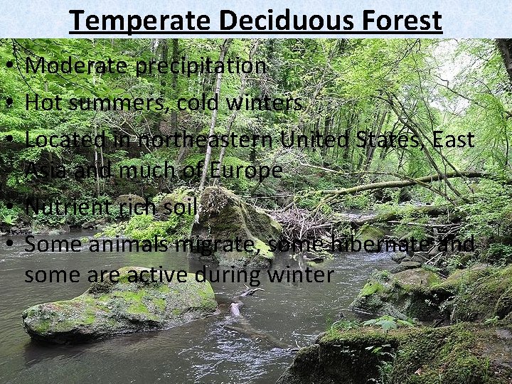 Temperate Deciduous Forest • Moderate precipitation • Hot summers, cold winters • Located in