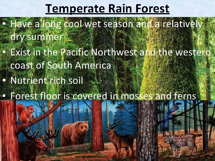 Temperate Rain Forest • Have a long cool wet season and a relatively dry