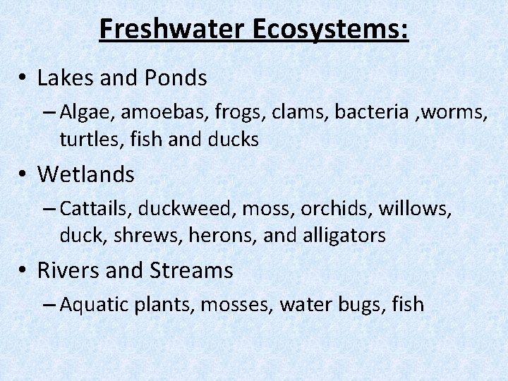 Freshwater Ecosystems: • Lakes and Ponds – Algae, amoebas, frogs, clams, bacteria , worms,